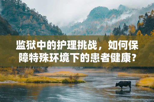 监狱中的护理挑战，如何保障特殊环境下的患者健康？