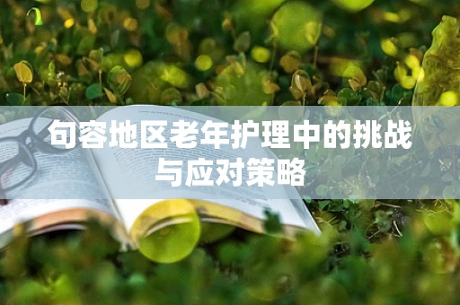 句容地区老年护理中的挑战与应对策略
