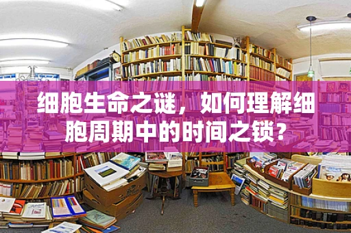 细胞生命之谜，如何理解细胞周期中的时间之锁？