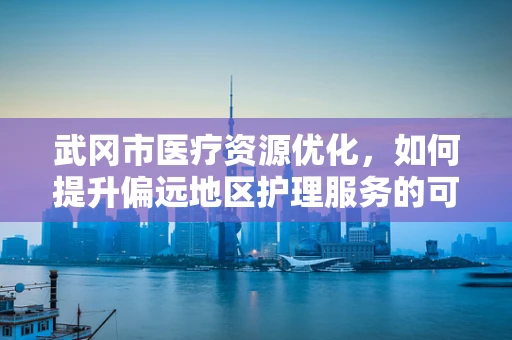 武冈市医疗资源优化，如何提升偏远地区护理服务的可及性？
