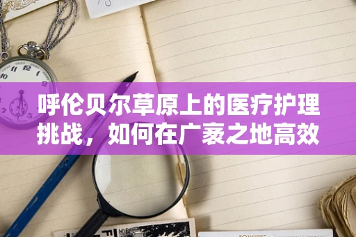 呼伦贝尔草原上的医疗护理挑战，如何在广袤之地高效应对紧急情况？