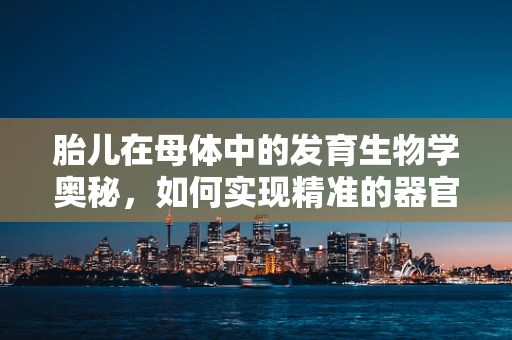 胎儿在母体中的发育生物学奥秘，如何实现精准的器官构建？