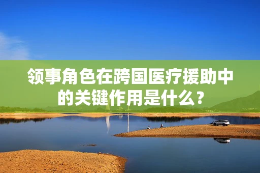 领事角色在跨国医疗援助中的关键作用是什么？