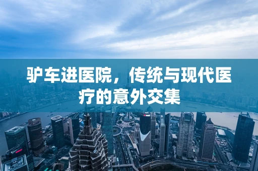 驴车进医院，传统与现代医疗的意外交集