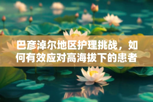 巴彦淖尔地区护理挑战，如何有效应对高海拔下的患者护理需求？