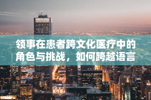 领事在患者跨文化医疗中的角色与挑战，如何跨越语言与文化的鸿沟？
