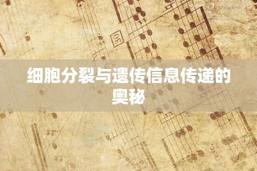细胞分裂与遗传信息传递的奥秘