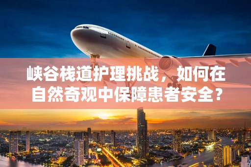 峡谷栈道护理挑战，如何在自然奇观中保障患者安全？