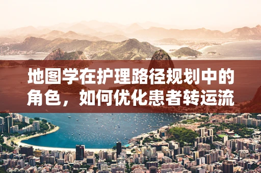 地图学在护理路径规划中的角色，如何优化患者转运流程？