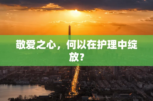 敬爱之心，何以在护理中绽放？
