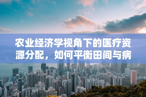 农业经济学视角下的医疗资源分配，如何平衡田间与病房的供需？