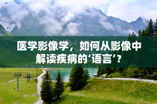 医学影像学，如何从影像中解读疾病的‘语言’？