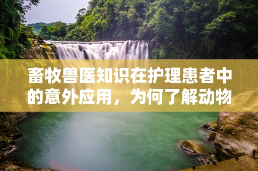 畜牧兽医知识在护理患者中的意外应用，为何了解动物健康对人类护理至关重要？