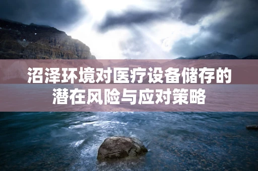 沼泽环境对医疗设备储存的潜在风险与应对策略