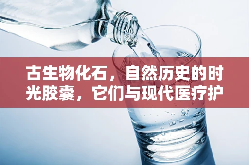 古生物化石，自然历史的时光胶囊，它们与现代医疗护理有何不解之缘？
