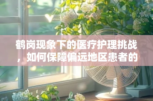 鹤岗现象下的医疗护理挑战，如何保障偏远地区患者的专业护理？