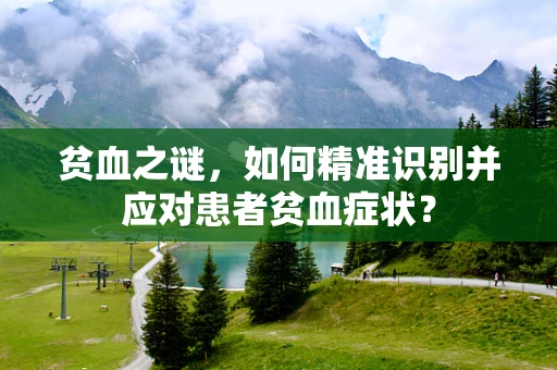 贫血之谜，如何精准识别并应对患者贫血症状？