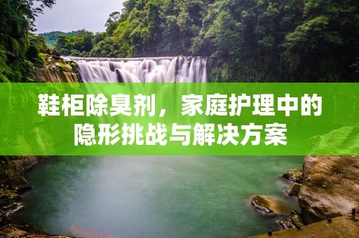 鞋柜除臭剂，家庭护理中的隐形挑战与解决方案