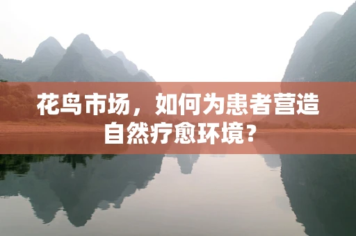 花鸟市场，如何为患者营造自然疗愈环境？