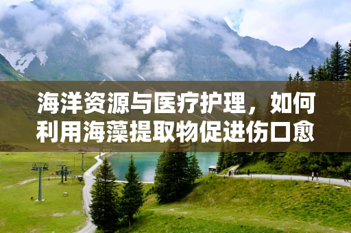 海洋资源与医疗护理，如何利用海藻提取物促进伤口愈合？