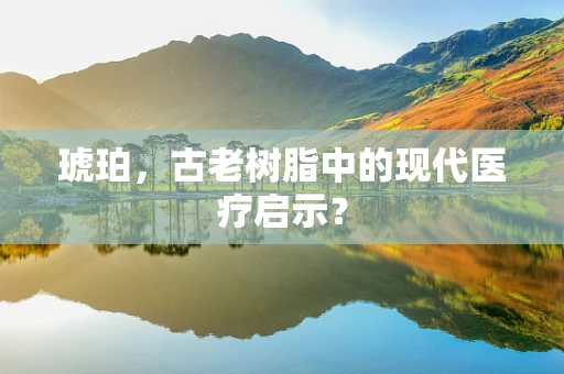 琥珀，古老树脂中的现代医疗启示？
