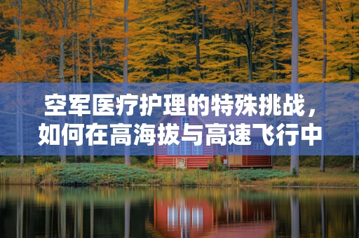空军医疗护理的特殊挑战，如何在高海拔与高速飞行中保障安全？