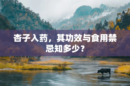 杏子入药，其功效与食用禁忌知多少？