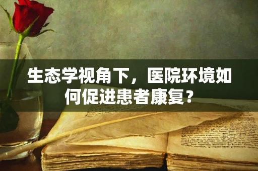 生态学视角下，医院环境如何促进患者康复？