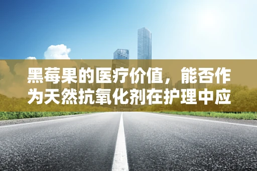 黑莓果的医疗价值，能否作为天然抗氧化剂在护理中应用？