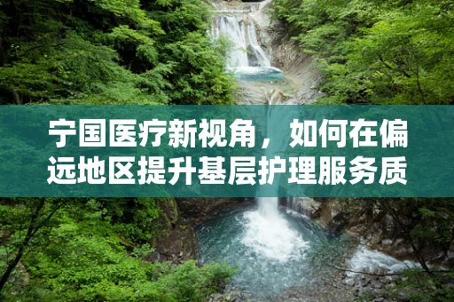 宁国医疗新视角，如何在偏远地区提升基层护理服务质量？