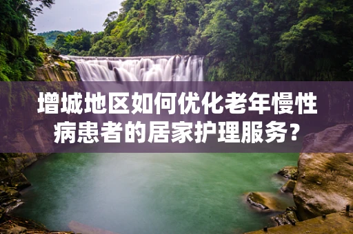 增城地区如何优化老年慢性病患者的居家护理服务？