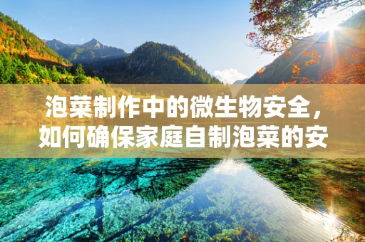 泡菜制作中的微生物安全，如何确保家庭自制泡菜的安全性？