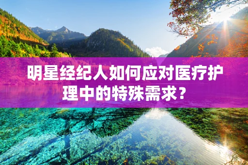明星经纪人如何应对医疗护理中的特殊需求？