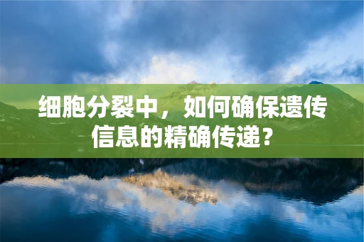 细胞分裂中，如何确保遗传信息的精确传递？