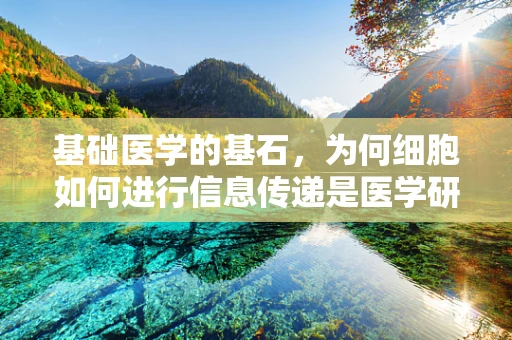 基础医学的基石，为何细胞如何进行信息传递是医学研究的核心问题？