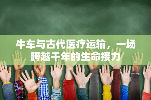 牛车与古代医疗运输，一场跨越千年的生命接力