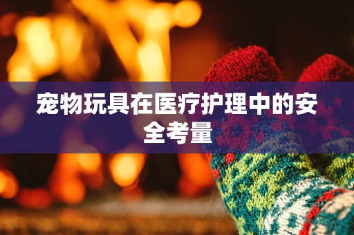 宠物玩具在医疗护理中的安全考量
