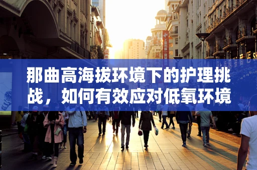 那曲高海拔环境下的护理挑战，如何有效应对低氧环境对患者的影响？