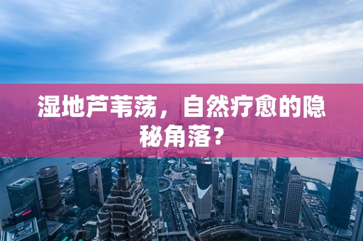 湿地芦苇荡，自然疗愈的隐秘角落？