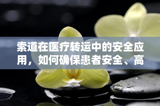 索道在医疗转运中的安全应用，如何确保患者安全、高效地通过索道转移？