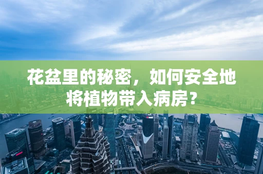 花盆里的秘密，如何安全地将植物带入病房？