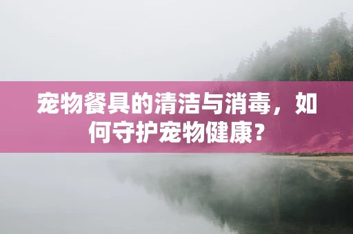 宠物餐具的清洁与消毒，如何守护宠物健康？