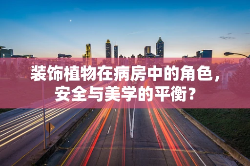 装饰植物在病房中的角色，安全与美学的平衡？