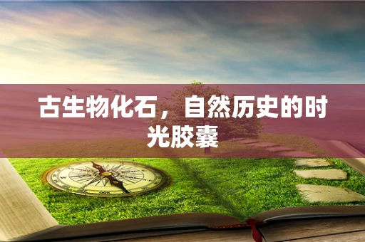 古生物化石，自然历史的时光胶囊