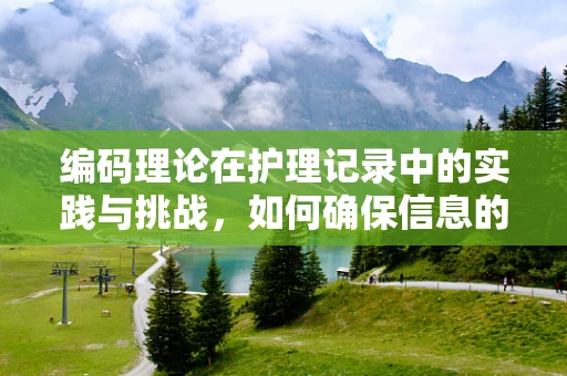 编码理论在护理记录中的实践与挑战，如何确保信息的准确性和完整性？