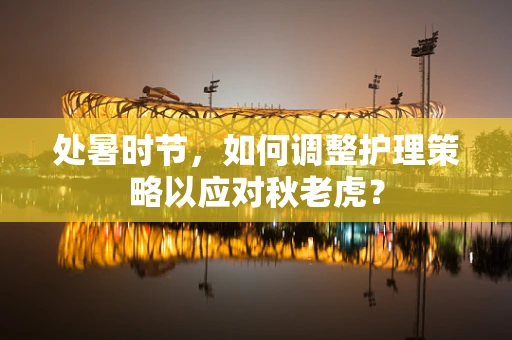 处暑时节，如何调整护理策略以应对秋老虎？