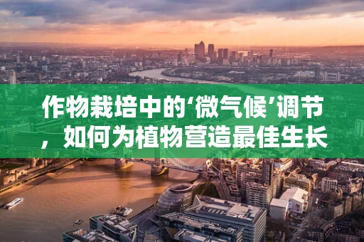 作物栽培中的‘微气候’调节，如何为植物营造最佳生长环境？