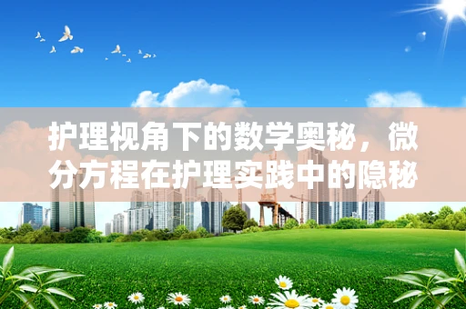 护理视角下的数学奥秘，微分方程在护理实践中的隐秘角色