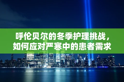 呼伦贝尔的冬季护理挑战，如何应对严寒中的患者需求？