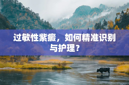 过敏性紫癜，如何精准识别与护理？